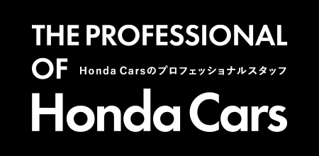 THE PROFESSIONAL OF Honda Cars