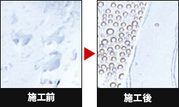 撥水ガラスコート全面