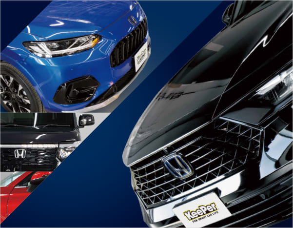 パーフェクトボディケア