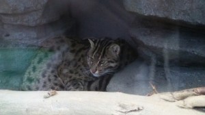 鳥羽水族館に行ってきました 店舗直送ブログ 株式会社ホンダカーズ東海