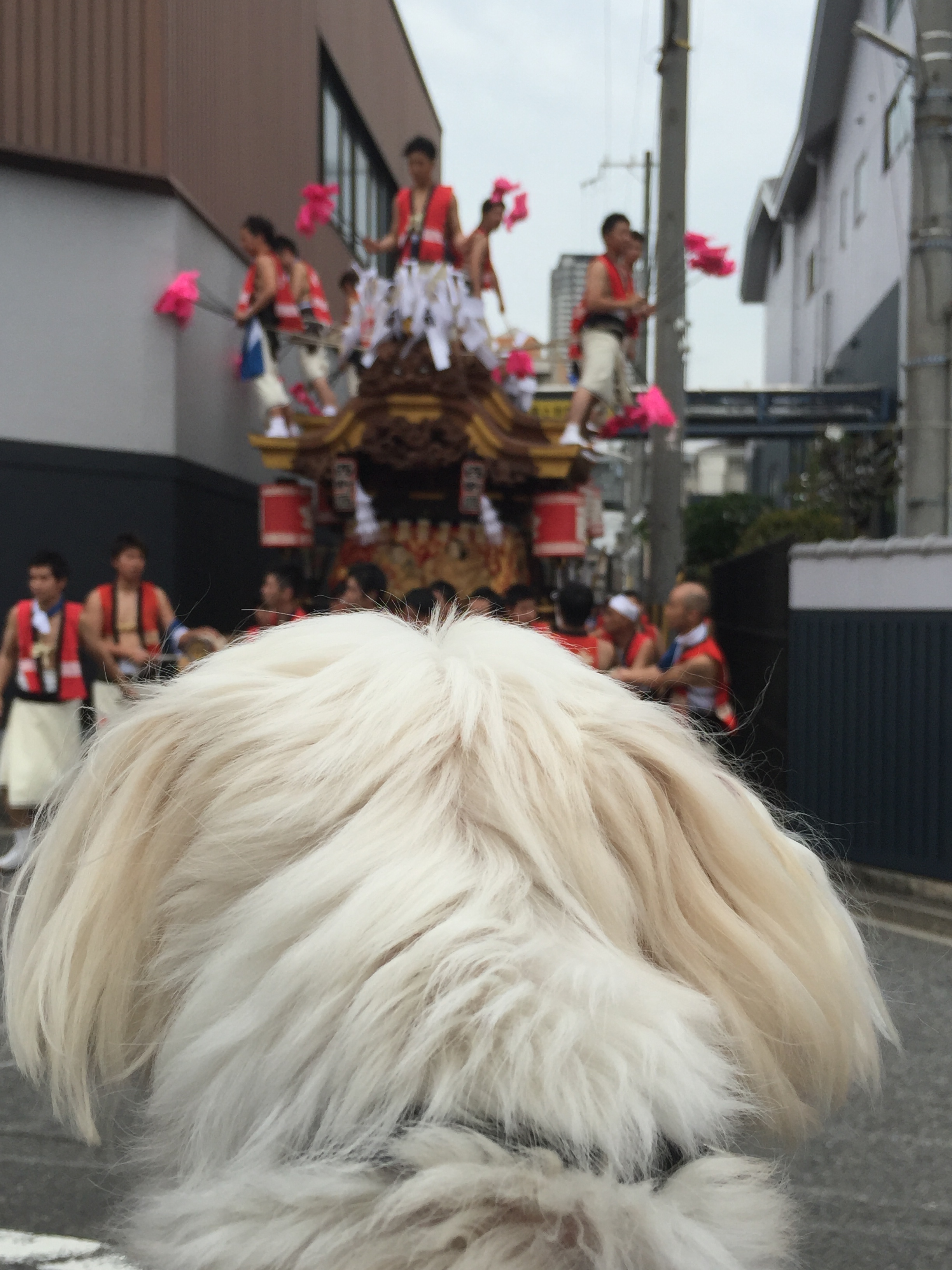 Danjiri 店舗直送ブログ 株式会社ホンダカーズ東海 Danjiri 店舗直送ブログ 株式会社ホンダカーズ東海