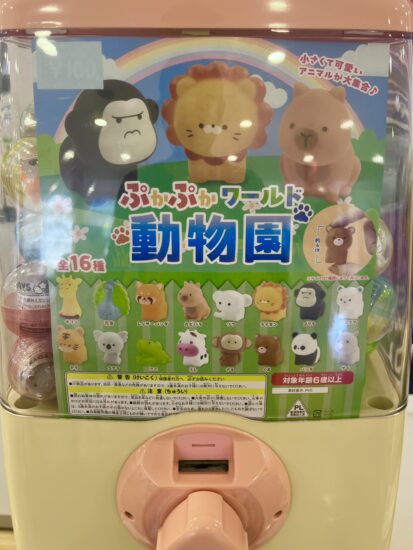 🐨ガチャガチャ🐨