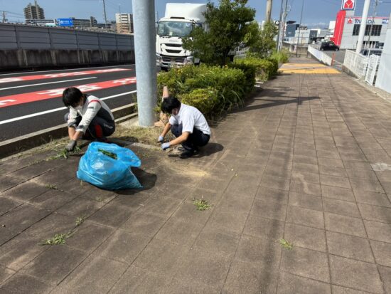 ☘️クリーンデイ☘️