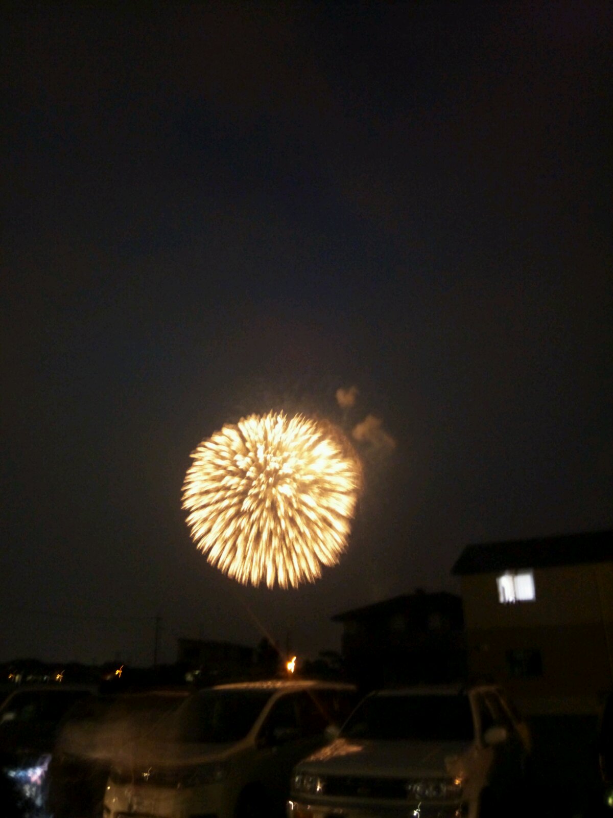 花火 店舗直送ブログ 株式会社ホンダカーズ東海 花火 店舗直送ブログ 株式会社ホンダカーズ東海